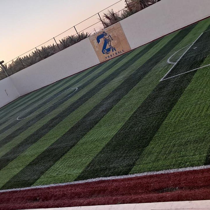 ملعب رياضي منفّذ بنجيل صناعي